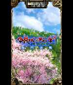 カバネリ海門決戦 サブ液晶背景:桜背景