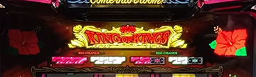 キングハナハナ-30 ハイビスカスランプ